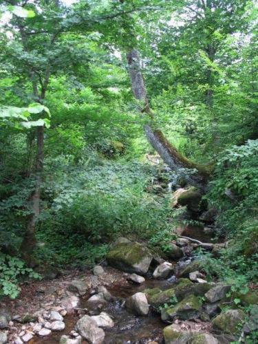 Villa Cherven Teteven Bagian luar foto